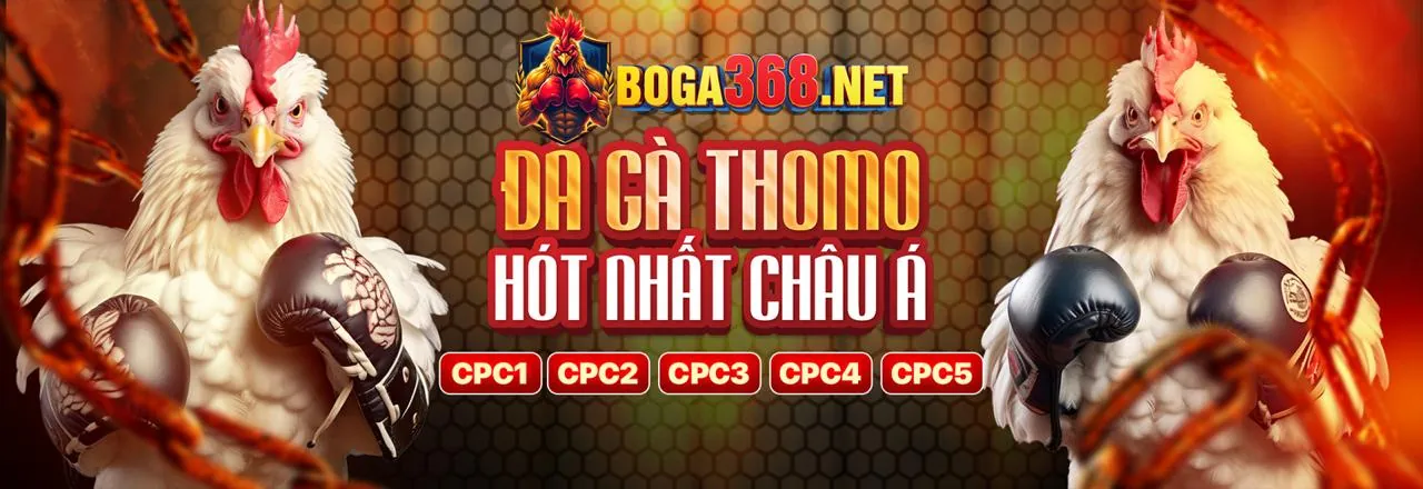 Tin tức đá gà trực tiếp tại dagatructiep
